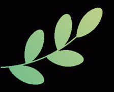 动邀请了来自国度食物平安风险评估司、安徽省